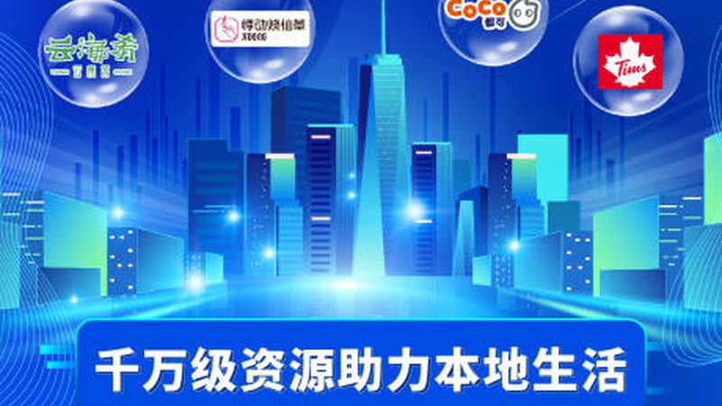国际搬家货运代理：揭秘行业真相与选择要点